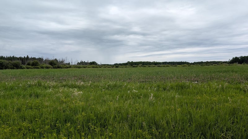 10211 Leander Rd, Angora, MN 55703