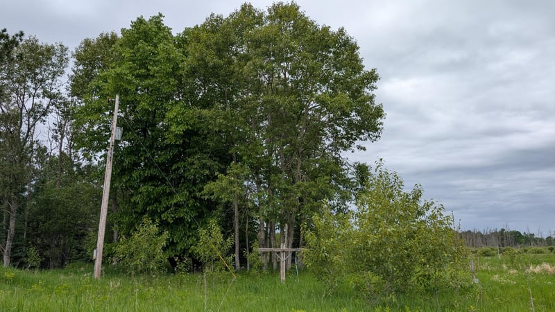 10211 Leander Rd, Angora, MN 55703
