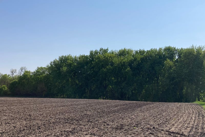 Lot 6-7 Mckinney Dr, Windom, MN 56101