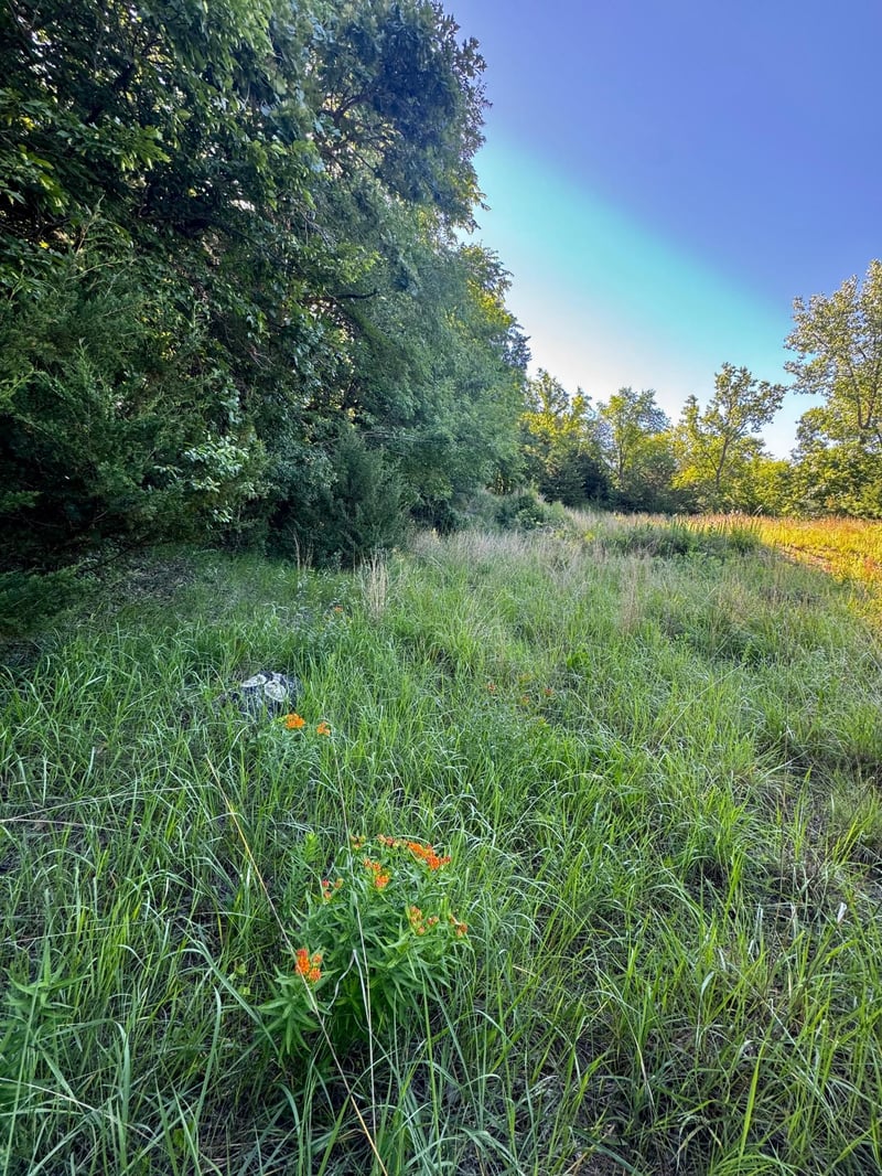 TBD County Road 51, Franklin, MN 55333