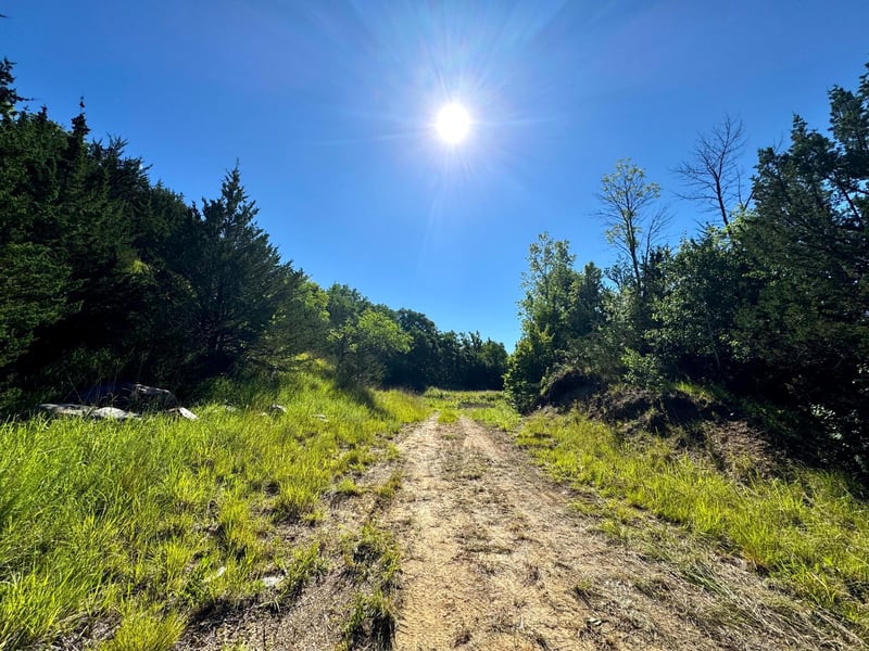 TBD County Road 51, Franklin, MN 55333