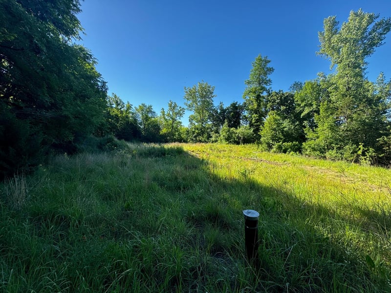 TBD County Road 51, Franklin, MN 55333