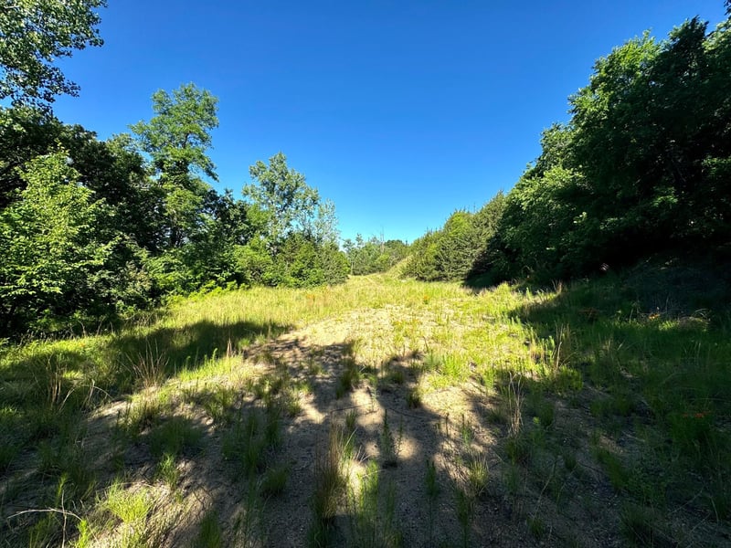 TBD County Road 51, Franklin, MN 55333