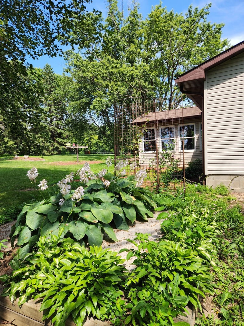 56676 412th St, New Ulm, MN 56073