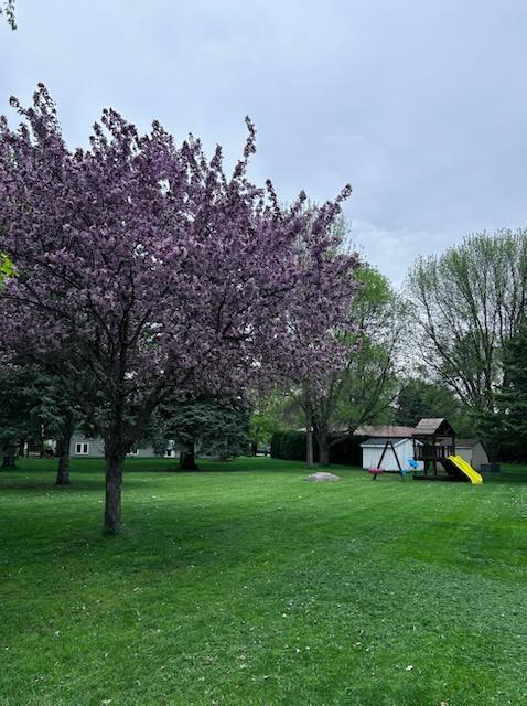 709 8th Ave SE, Barnesville, MN 56514
