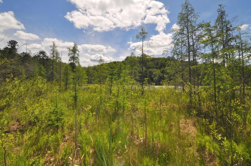 Lot 2 Evening Vista Trl NW, Shingobee Twp, MN 56433