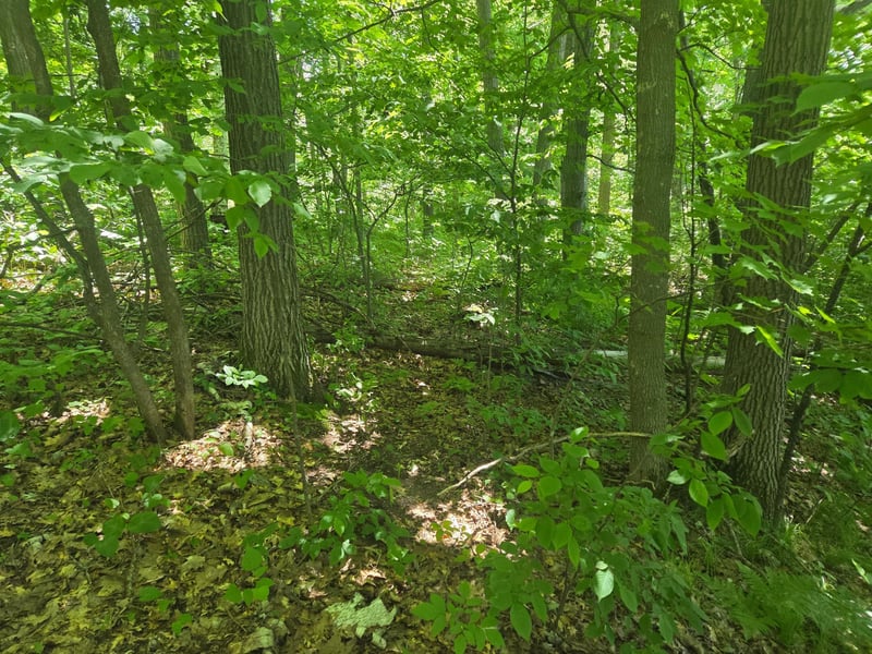 TBD County Rd G, Comstock, WI 54826