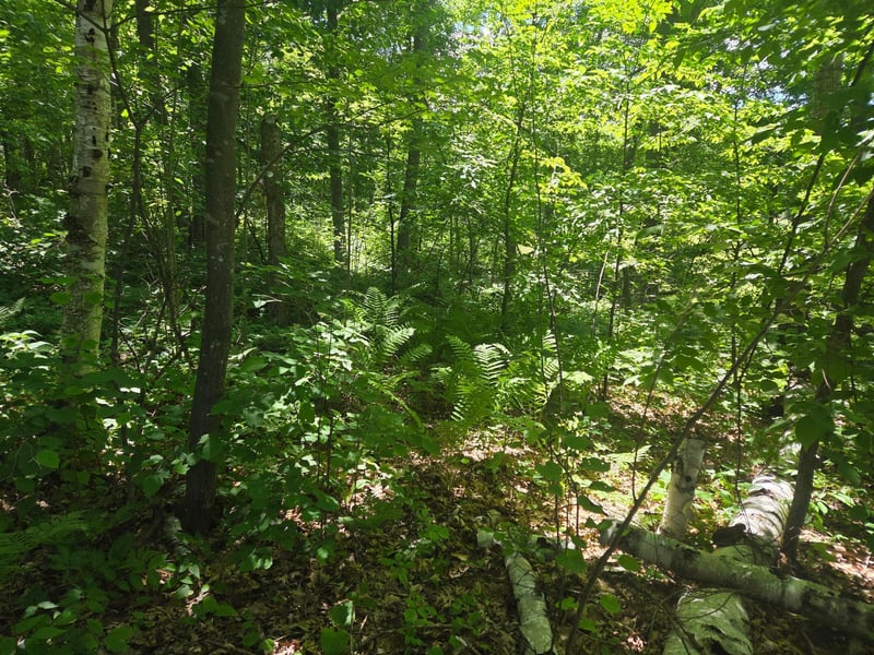 TBD County Rd G, Comstock, WI 54826