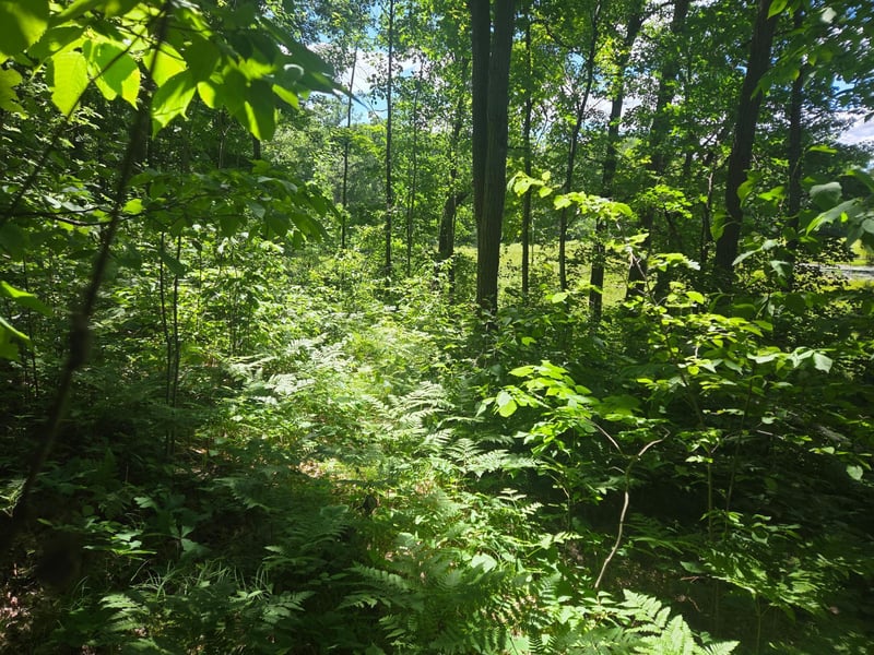 TBD County Rd G, Comstock, WI 54826