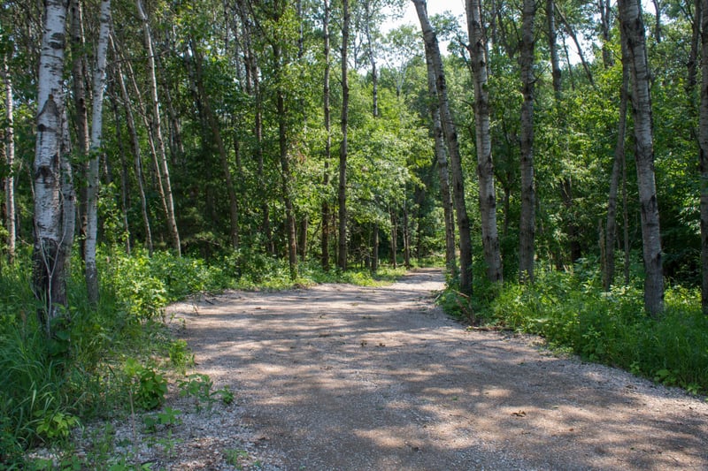 0000 Fourth Ave E, South Haven, MN 55382