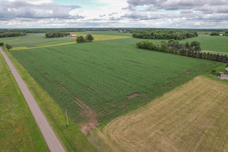 TBD 165th Ave, Holdingford, MN 56340