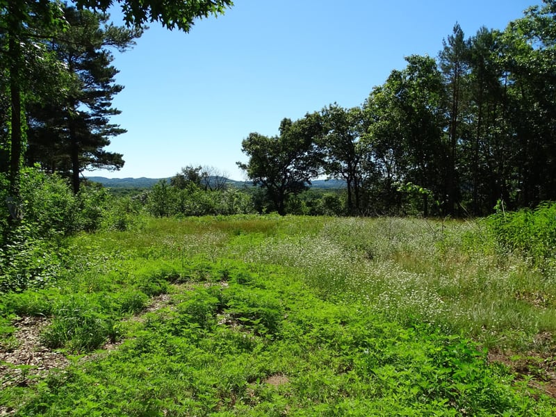 N4916 County Rd N, Arkansaw, WI 54721