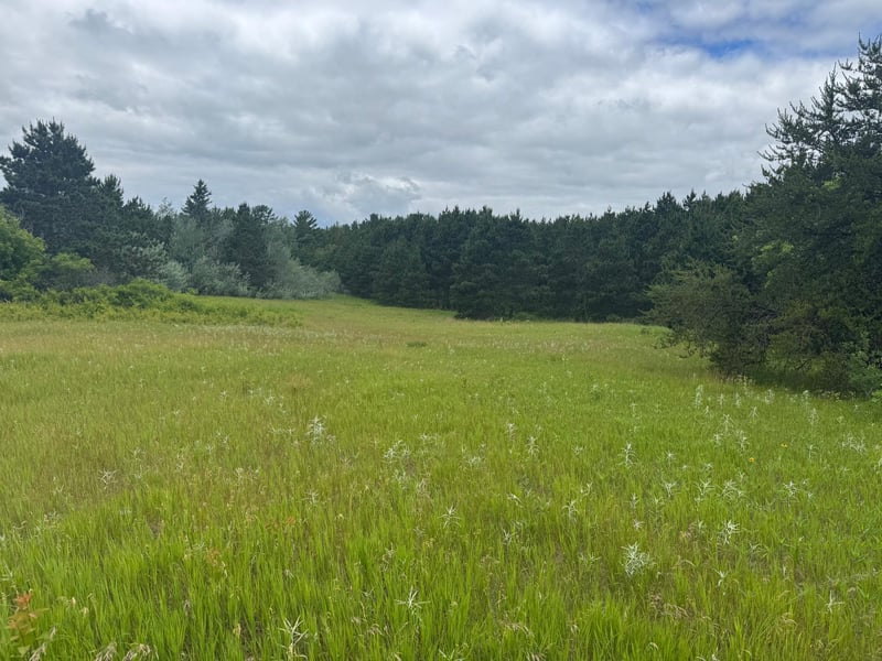 2177 Mississippi Shores Rd, Fort Ripley, MN 56449