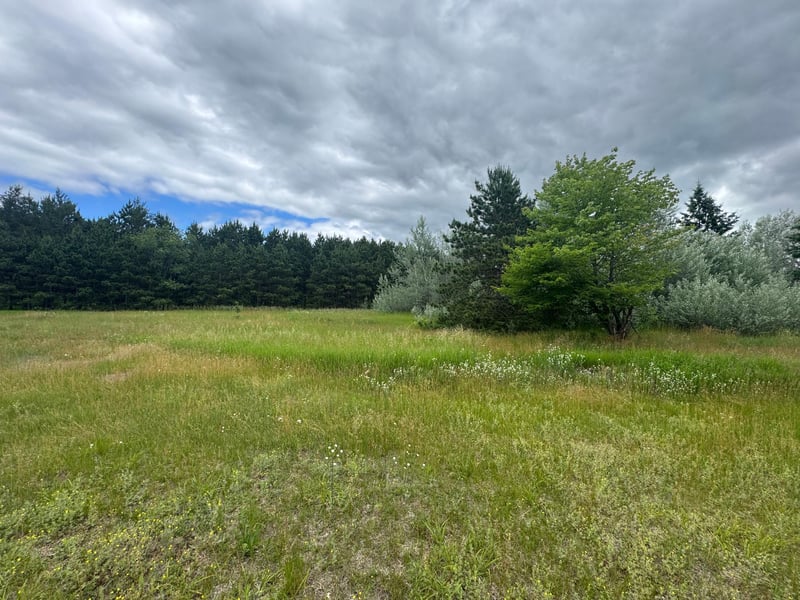 2177 Mississippi Shores Rd, Fort Ripley, MN 56449
