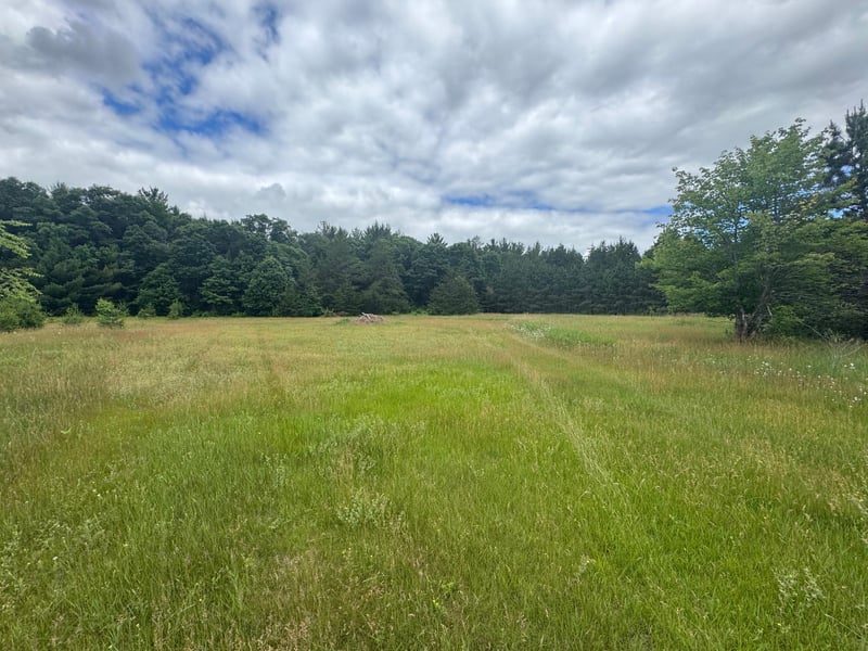 2177 Mississippi Shores Rd, Fort Ripley, MN 56449