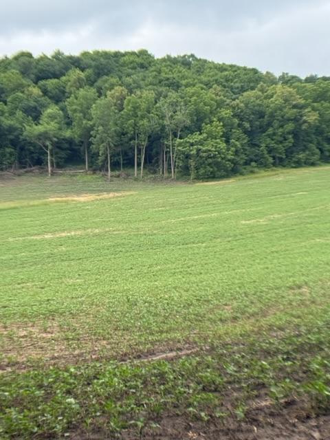 TBD Back Valley Rd, Pepin, WI 54759