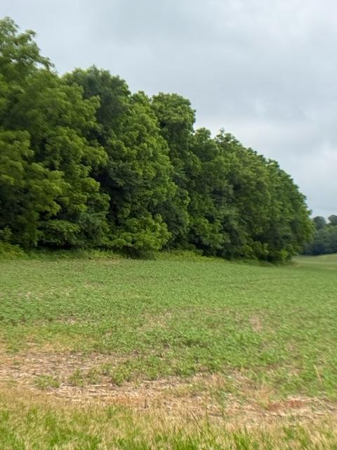TBD Back Valley Rd, Pepin, WI 54759