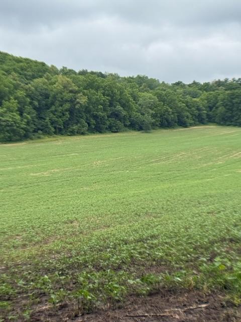 TBD Back Valley Rd, Pepin, WI 54759
