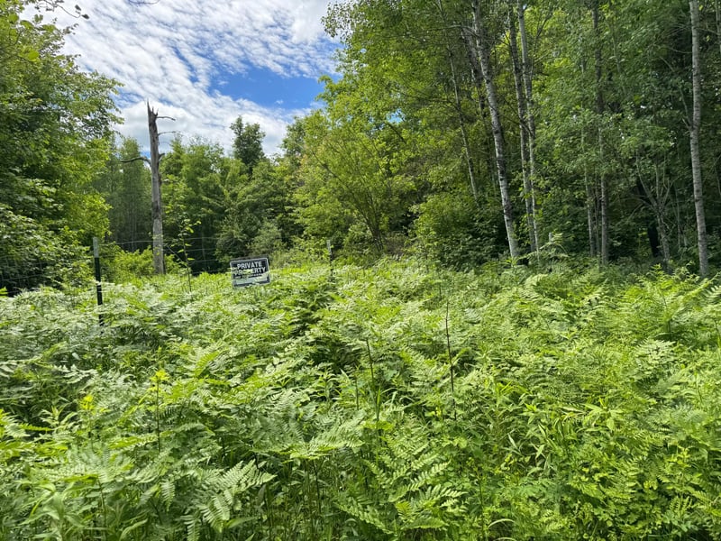TBD 300th Ln, Mcgregor, MN 55760