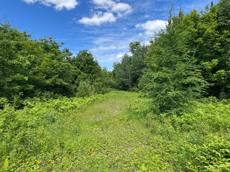 TBD 300th Ln, Mcgregor, MN 55760