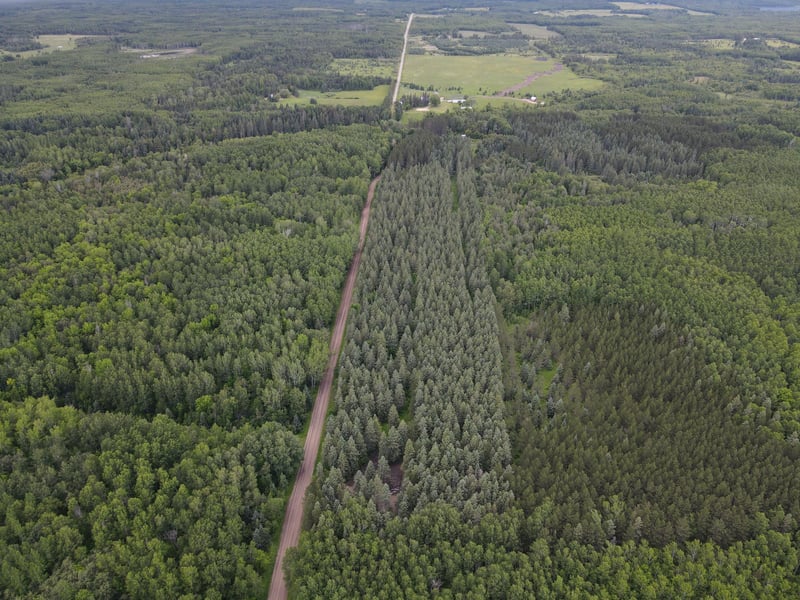 64636 County Road 235, Effie, MN 56639