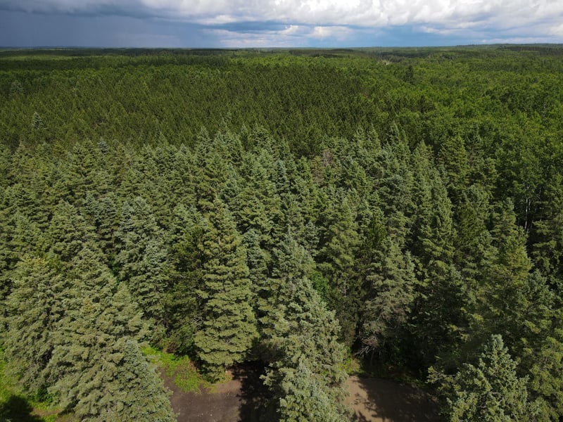 64636 County Road 235, Effie, MN 56639