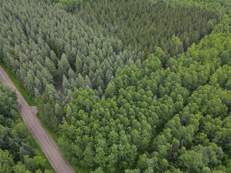 64636 County Road 235, Effie, MN 56639