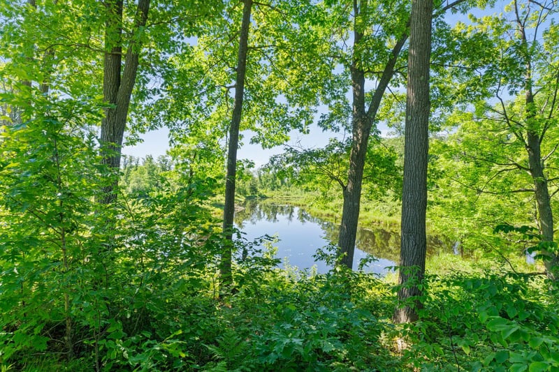 XXX 220th Ave, Comstock, WI 54829