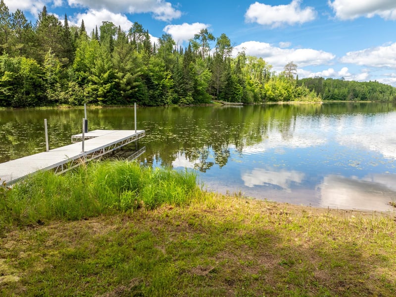 21106 Horsehead Lake Trl, Bigfork, MN 56628