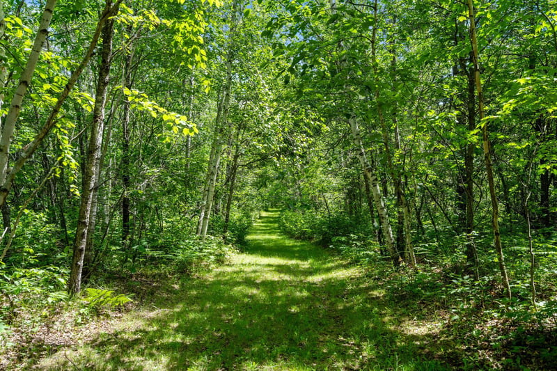 TBD E Mail Rd, Gordon, WI 54838