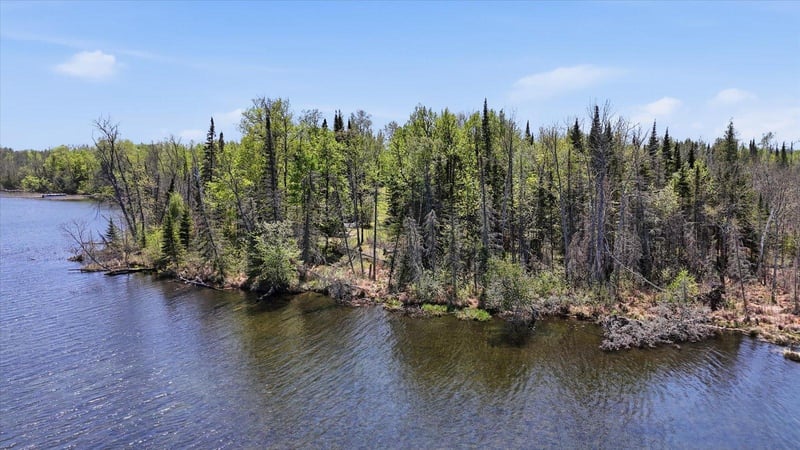 TBD Tbd Cedar Point Rd, Marcell, MN 56657