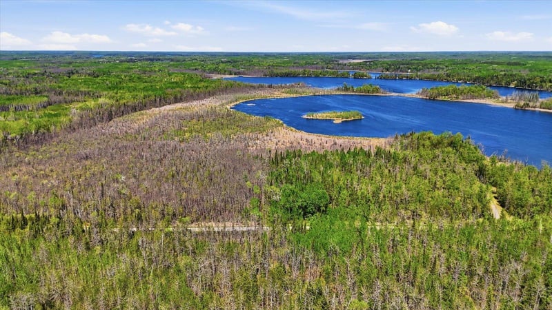 xxx Cedar Point Rd, Marcell, MN 56657