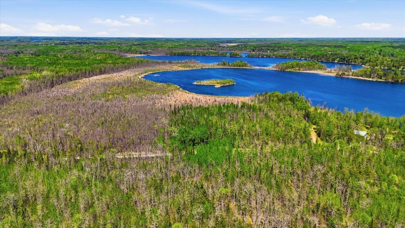 xxx Cedar Point Rd, Marcell, MN 56657