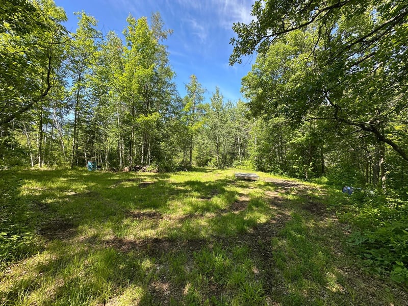 89225 Little Oak Lake Rd, Kerrick, MN 55756