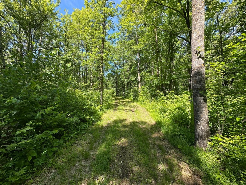 89225 Little Oak Lake Rd, Kerrick, MN 55756