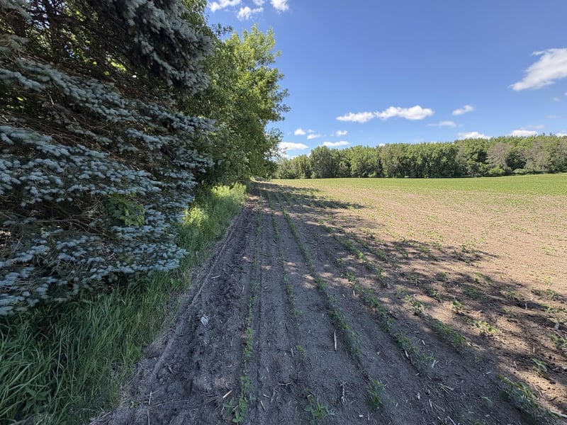 TBD Base Line Rd, Dundas, MN 55019