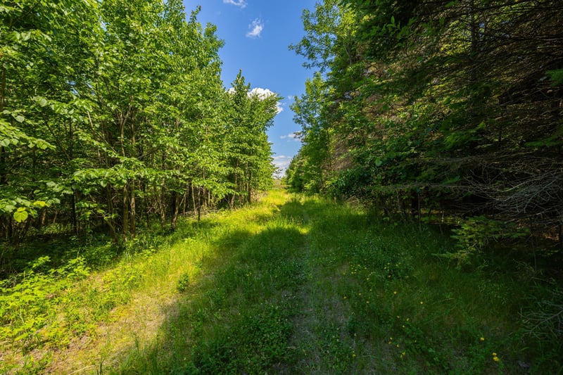 TBD Base Line Rd, Dundas, MN 55019