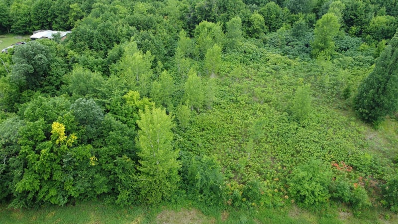 TBD Long Lake, Ottertail, MN 56571