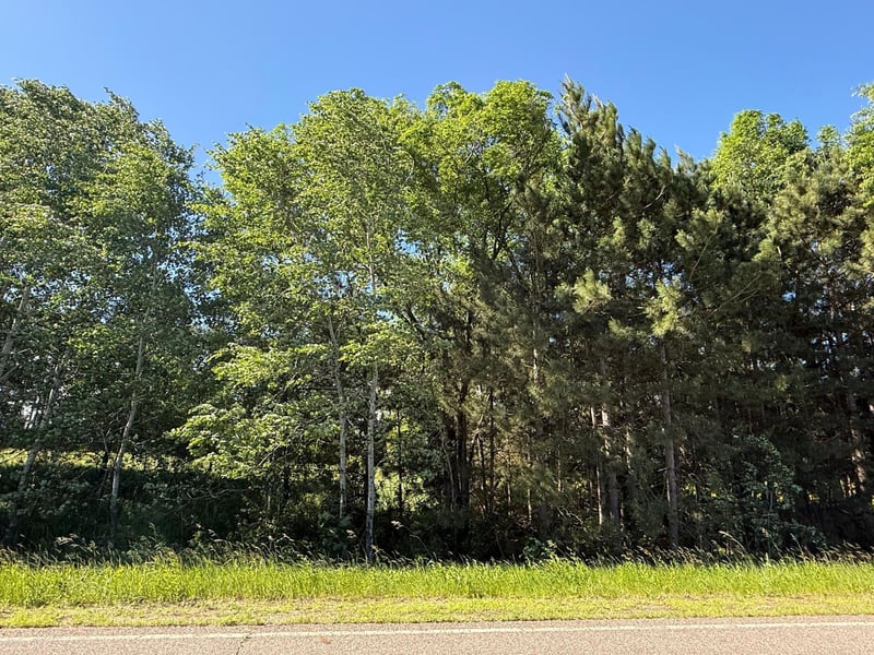 Lot 3 Block 1 87th St SE, Becker, MN 55308