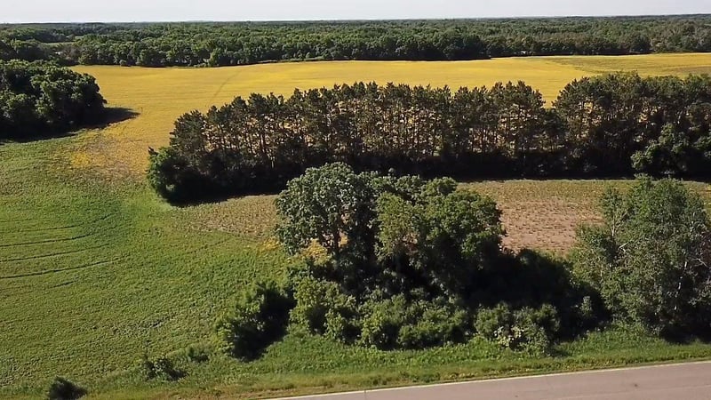 Lot 3 Block 1 87th St SE, Becker, MN 55308