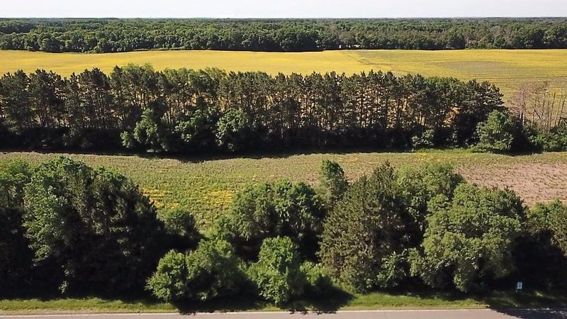 Lot 1 Block 1 87th St SE, Becker, MN 55308