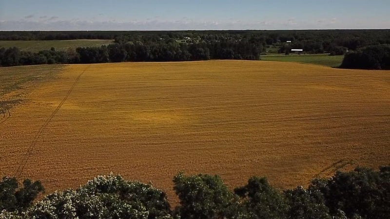 Lot 1 Block 1 87th St SE, Becker, MN 55308