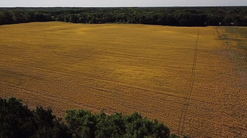 Lot 1 Block 1 87th St SE, Becker, MN 55308