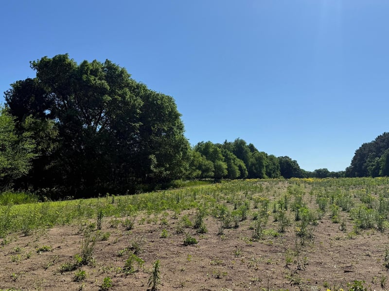 Lot 1 Block 1 87th St SE, Becker, MN 55308