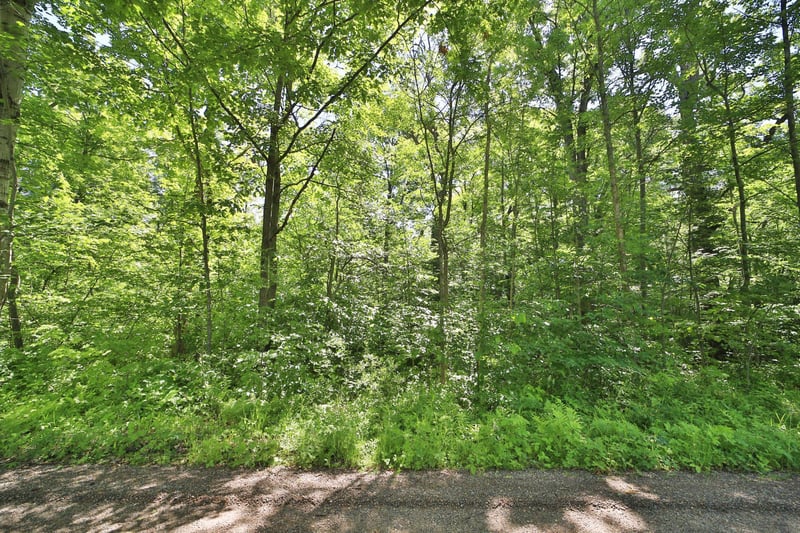 TBD Meander Way, Garrison, MN 56450