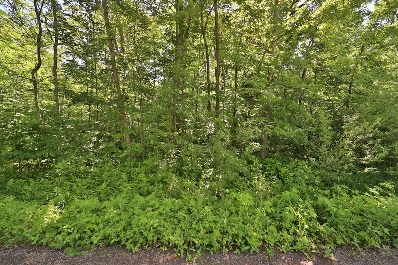 TBD Meander Way, Garrison, MN 56450