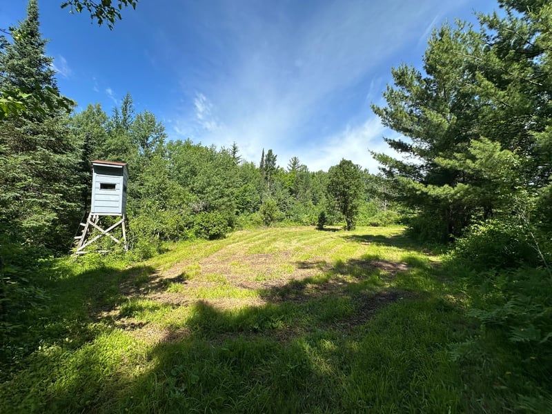 TBD Oak Leaf Rd, Kerrick, MN 55756