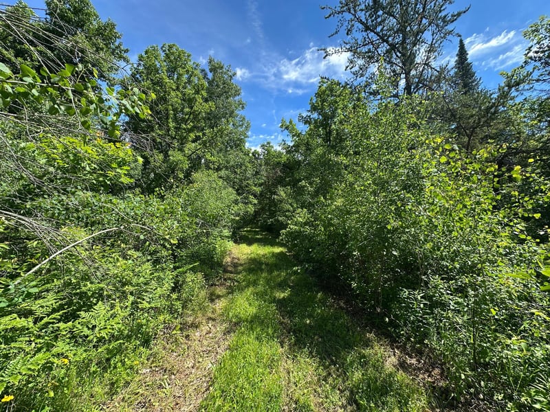 TBD Oak Leaf Rd, Kerrick, MN 55756