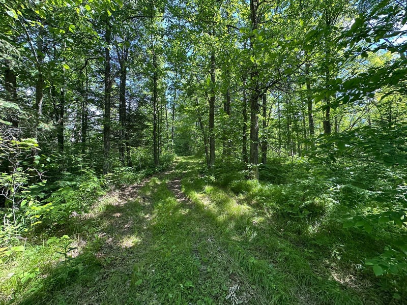 TBD Oak Leaf Rd, Kerrick, MN 55756