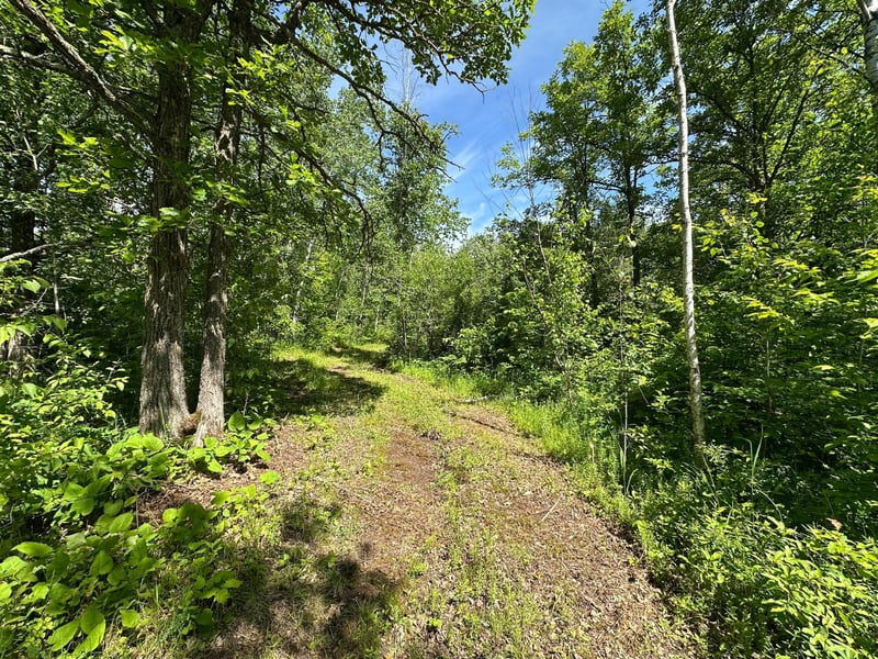 TBD Oak Leaf Rd, Kerrick, MN 55756